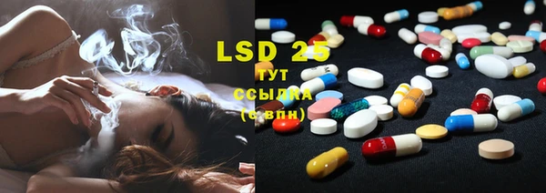 индика Балахна