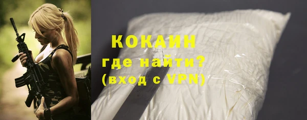индика Балахна