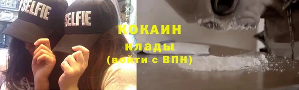 крисы Баксан