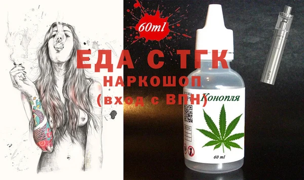 индика Балахна