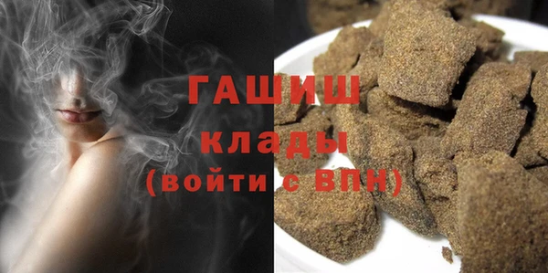 шишки Арсеньев