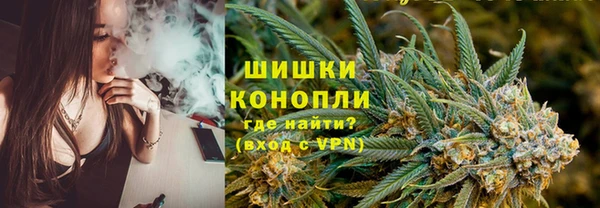 индика Балахна
