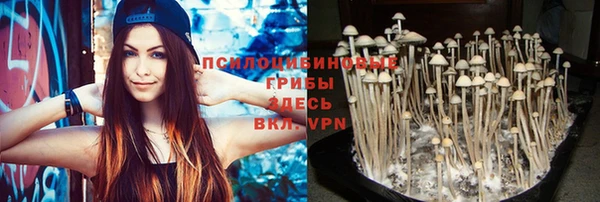индика Балахна
