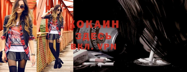 шишки Арсеньев